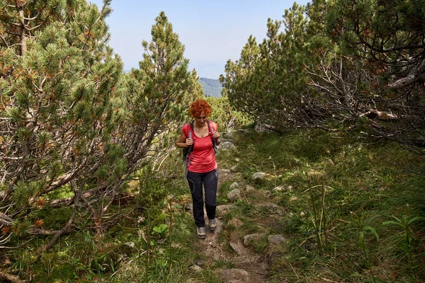 Mulher Meia Idade Com Mochila Caminhadas Trilha Montanhas Durante Dia — Fotografia de Stock