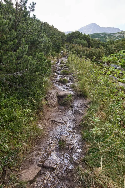 Landschaft Mit Wanderweg Felsigen Bergen — Stockfoto