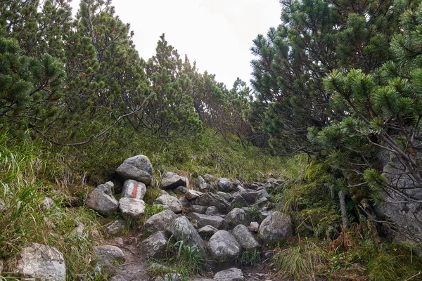 Krajina Turistická Stezka Rocky Mountains — Stock fotografie