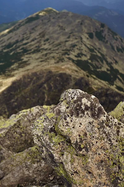 Yaz Aylarında Yüksek Rocky Dağları Ile Manzara — Stok fotoğraf