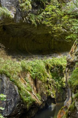 Güzel manzara nehir yemyeşil Kanyon ile
