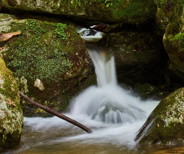 Paisaje Con Río Que Fluye Través Del Bosque Las Montañas — Foto de Stock