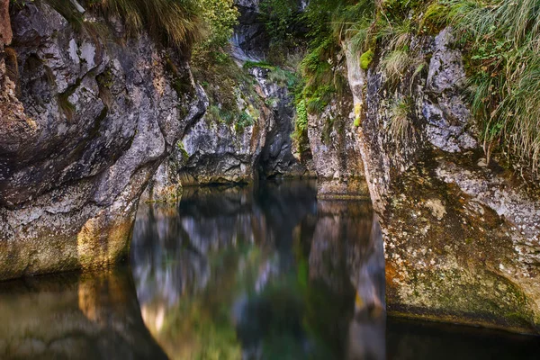 Vackert Landskap Med Flod Grönskande Kanjon — Stockfoto