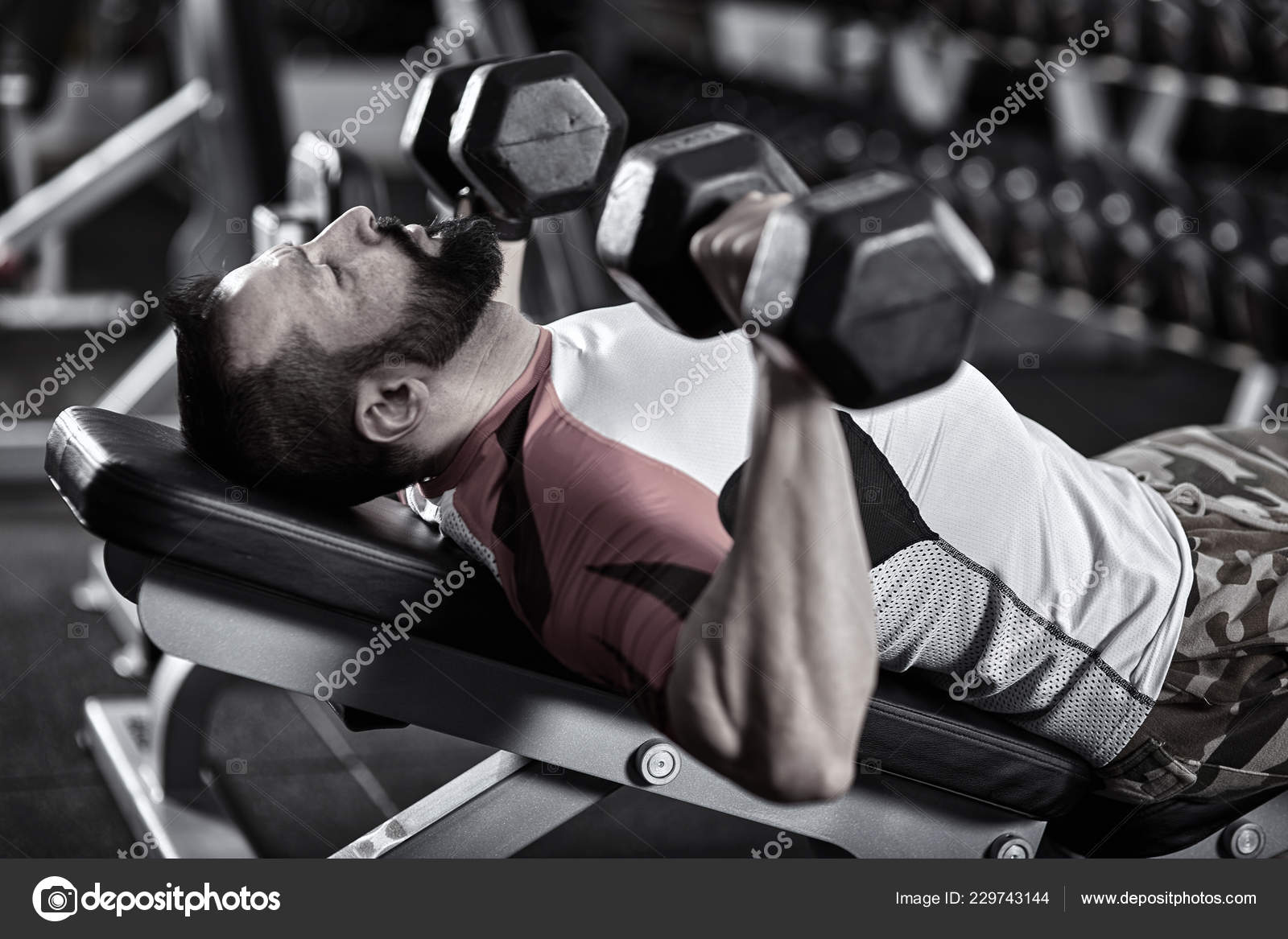 Man Doing Chest Workout Inclined Bench Dumbbells Stock Photo