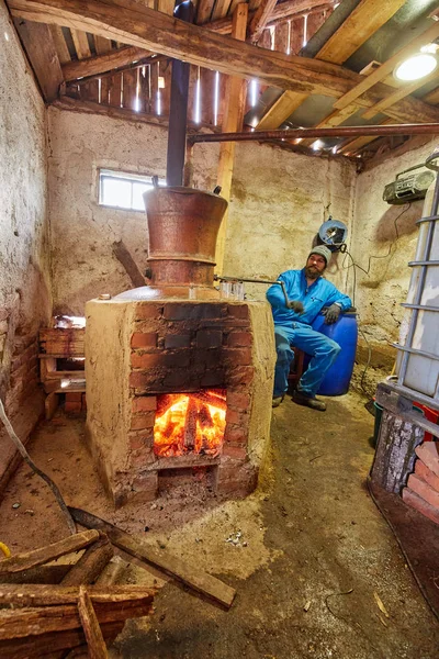 Man Voorbereiding Pruim Brandy Door Koken Condensatie Van Vruchten — Stockfoto