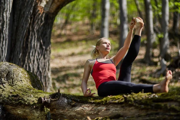 Ung Kvinna Gör Yogaövningar Skog Kastanje Och — Stockfoto