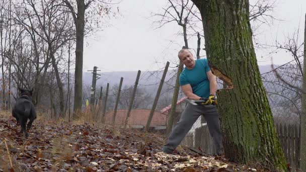 Granjero Fuerte Talando Gran Árbol Durante Día — Vídeos de Stock