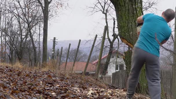 Fermier fort abattant un grand arbre le jour 