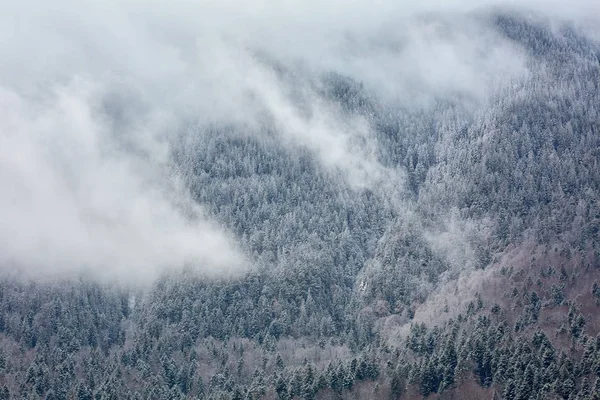 Landscape Mountains Range Winter — Stock Photo, Image