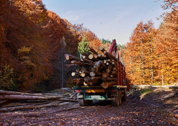Büyük Kamyon Kayın Ormanı Taşıma — Stok fotoğraf