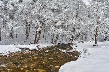 Bir nehir ve soğuk kış manzarası