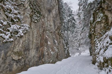 Bir kanyonda karla kaplı bir yol ile manzara