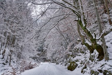Bir kanyonda karla kaplı bir yol ile manzara