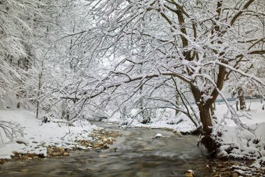 Bir nehir ve soğuk kış manzarası