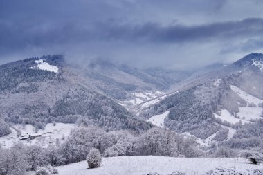 Kış zamanı dağların ve ormanların manzarası.