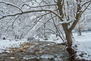 Bir nehir ve soğuk kış manzarası