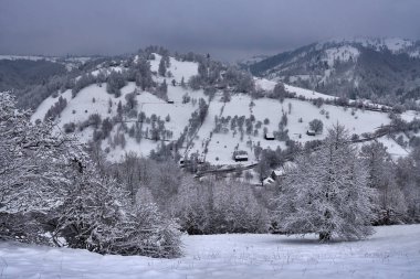 Kış zamanı dağların ve ormanların manzarası.