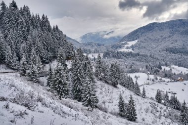 Kış zamanı dağların ve ormanların manzarası.