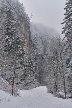 Bir kanyonda karla kaplı bir yol ile manzara