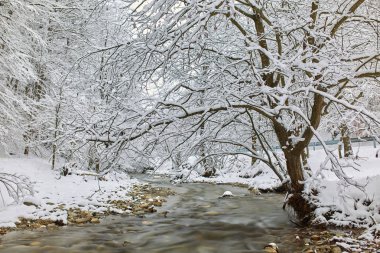 Bir nehir ve soğuk kış manzarası