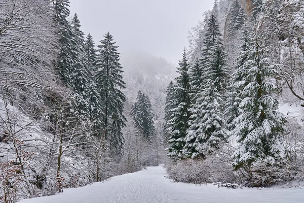 Krajina Silnicí Sněhem Skrz Kaňon — Stock fotografie
