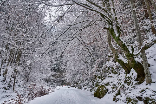 Paisagem Com Uma Estrada Coberta Neve Através Desfiladeiro — Fotografia de Stock