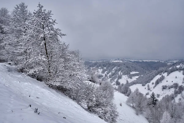 Krajinný Záběr Hor Lesů Zimním Období — Stock fotografie