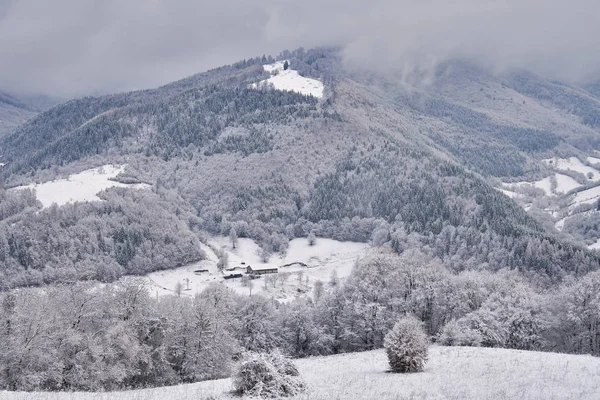 Paesaggio Montagne Foreste Inverno — Foto Stock