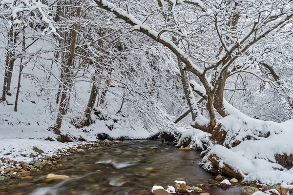 Vinterlandskap Med Flod Och Frostiga Träd — Stockfoto