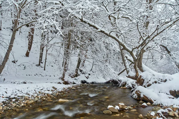 Zimní Krajina Řekou Mrazivý Stromy — Stock fotografie