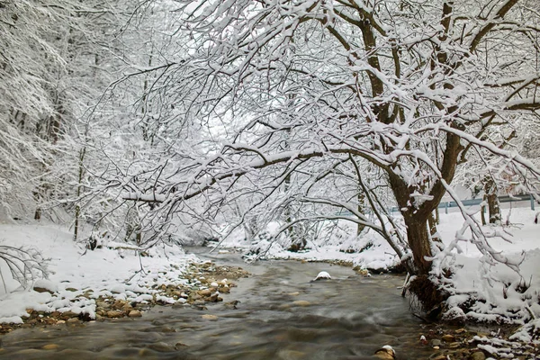 Winterlandschaft Mit Einem Fluss Und Frostigen Bäumen — Stockfoto