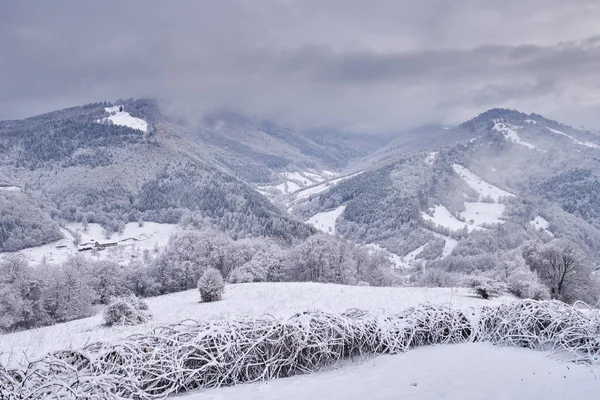 Paysage Des Montagnes Des Forêts Hiver — Photo