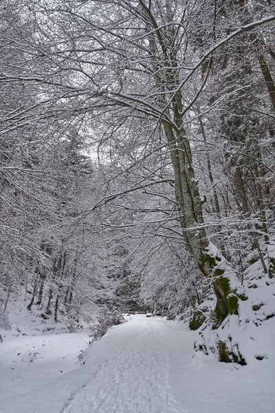 Landschaft Mit Einer Schneebedeckten Straße Durch Eine Schlucht — Stockfoto