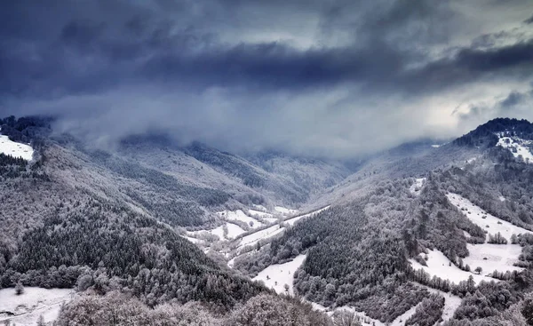 Kış zamanı dağların ve ormanların manzarası.