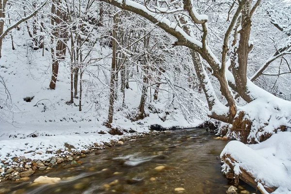 Vinterlandskap Med Flod Och Frostiga Träd — Stockfoto