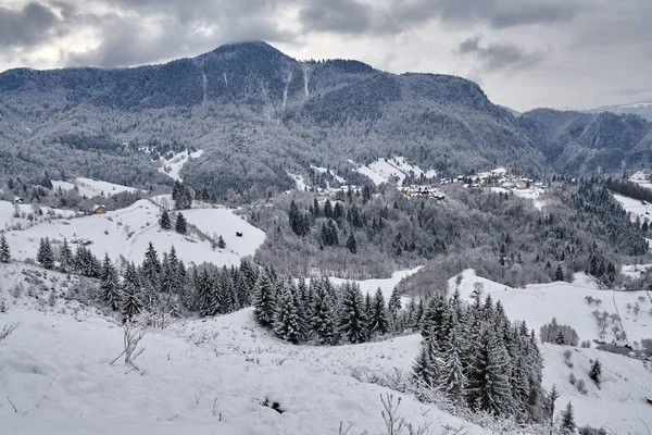 Krajinný Záběr Hor Lesů Zimním Období — Stock fotografie