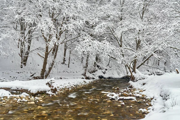 Paisaje Invernal Con Río Árboles Helados — Foto de Stock