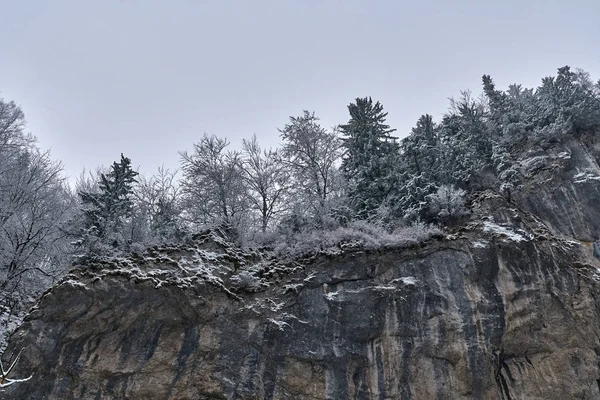 Paisagem Tiro Montanhas Florestas Tempo Inverno — Fotografia de Stock