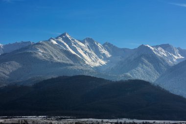 Kar, çam ormanında kış manzara dağ silsilesi ile kaplı