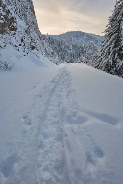 Route Montagne Couverte Neige Avec Des Empreintes Pas — Photo