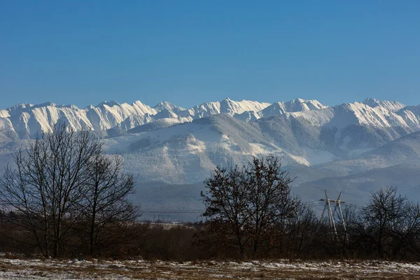 Paisaje Invernal Con Cordillera Cubierta Nieve Bosque Pinos — Foto de Stock