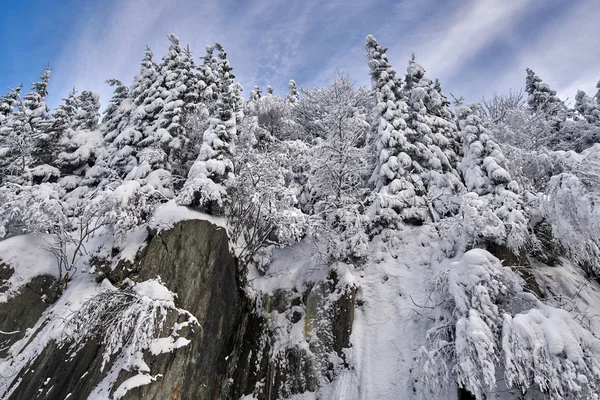 Paisaje Montaña Con Abetos Cubiertos Nieve Durante Día — Foto de Stock