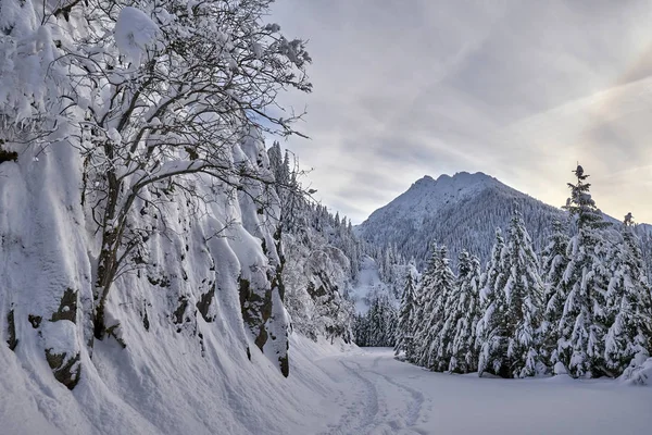 Camino Montaña Cubierto Nieve Con Huellas — Foto de Stock