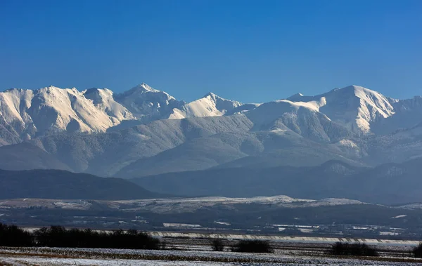 Winter Landscape Mountain Range Covered Snow Pine Forest — Stock Photo, Image