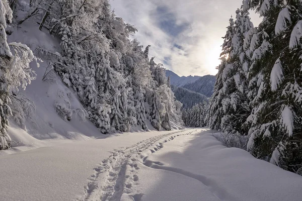 Route Montagne Couverte Neige Avec Des Empreintes Pas — Photo