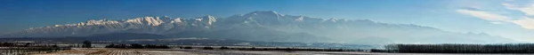 Paesaggio Invernale Con Catena Montuosa Coperta Neve Pineta — Foto Stock