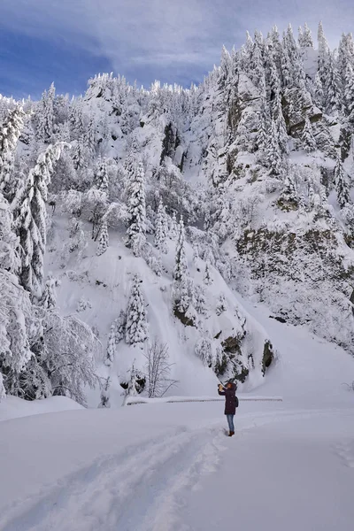 白天被雪覆盖的冷杉树的山景 — 图库照片