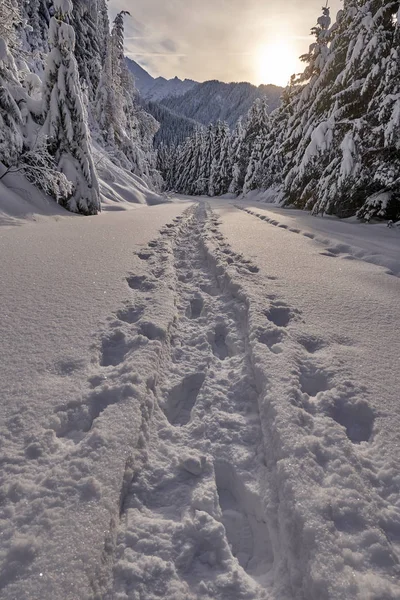 Mountain road covered in snow with footprints