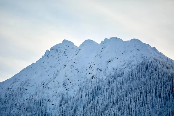 Paisaje Invernal Con Cordillera Cubierta Nieve Bosque Pinos — Foto de Stock