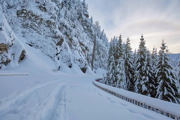 Camino Montaña Cubierto Nieve Con Huellas — Foto de Stock